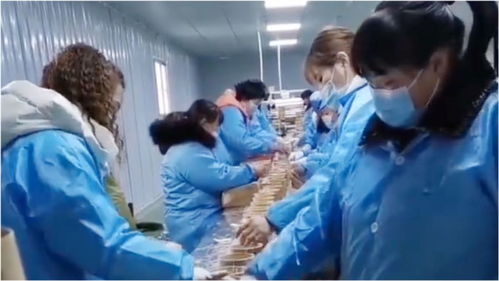 酸辣粉食品加工廠員工不帶 頭套手套 網友 起碼戴口罩了